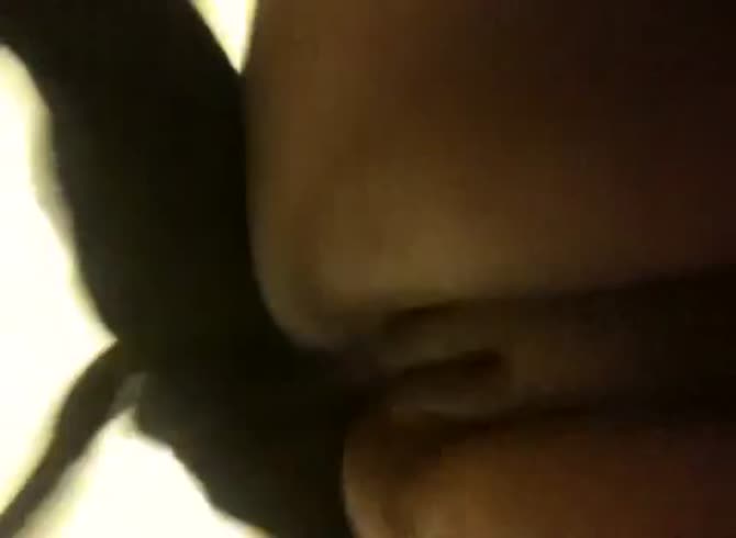 Video :Dog hard fucking a girl's anus in dog anal sex